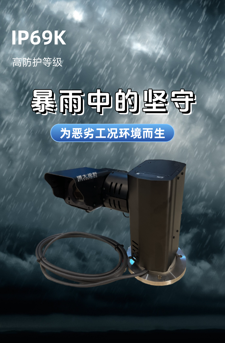 画板 3.png