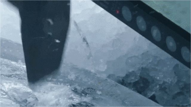 7.gif